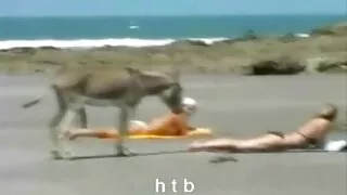 رائع تنزيل سكسي مباشر امرأة سمراء يتأهل بجانب المسبح وضعت بوسها تحت قوية الديك