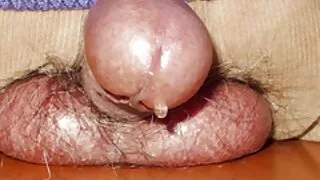 سمراء بعد كون أسيتاتو برنامج بث مباشر سكسي
