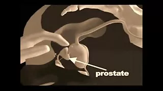 فيرونيكا بث سكسي مباشر أما